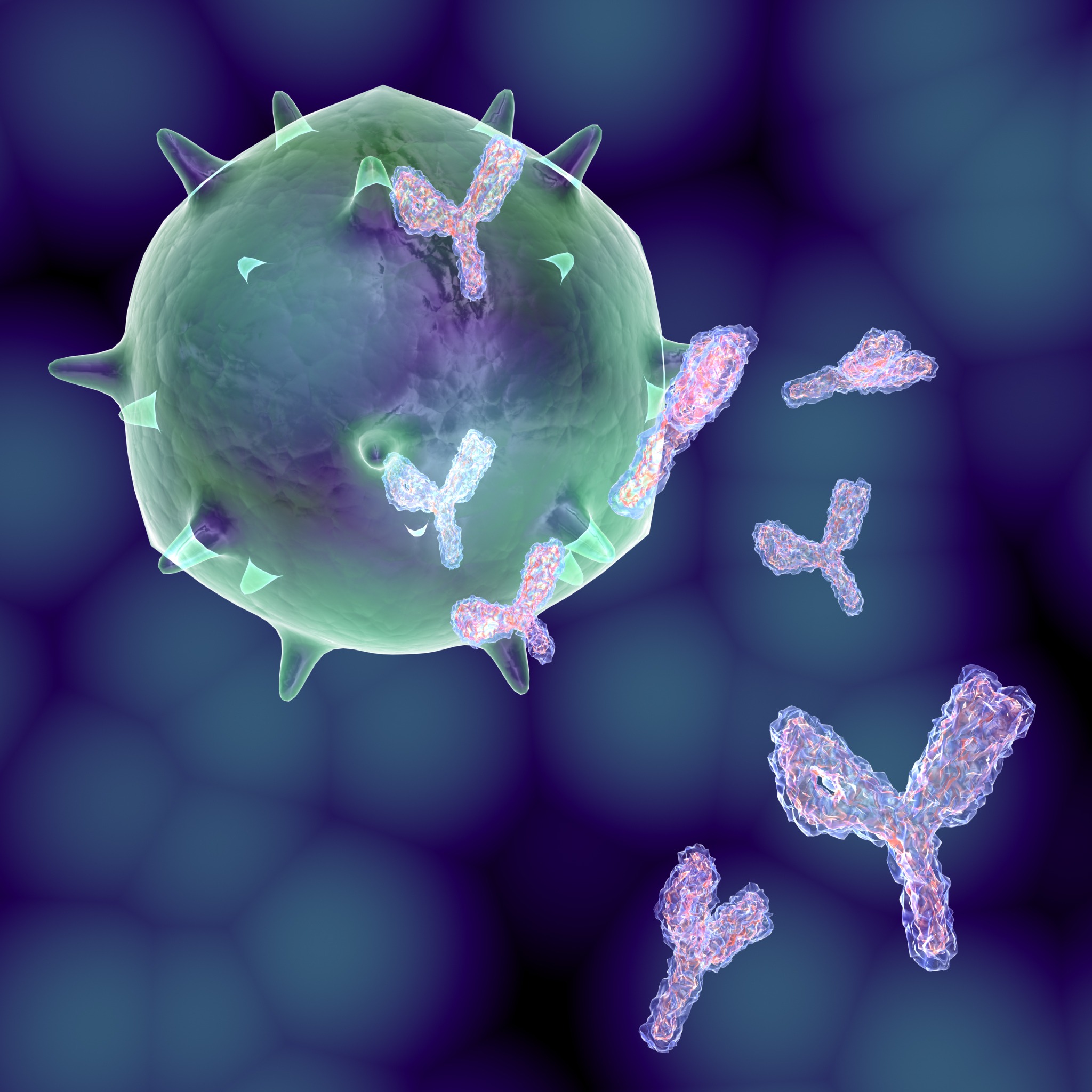 Immunity Viruses Cold Flu